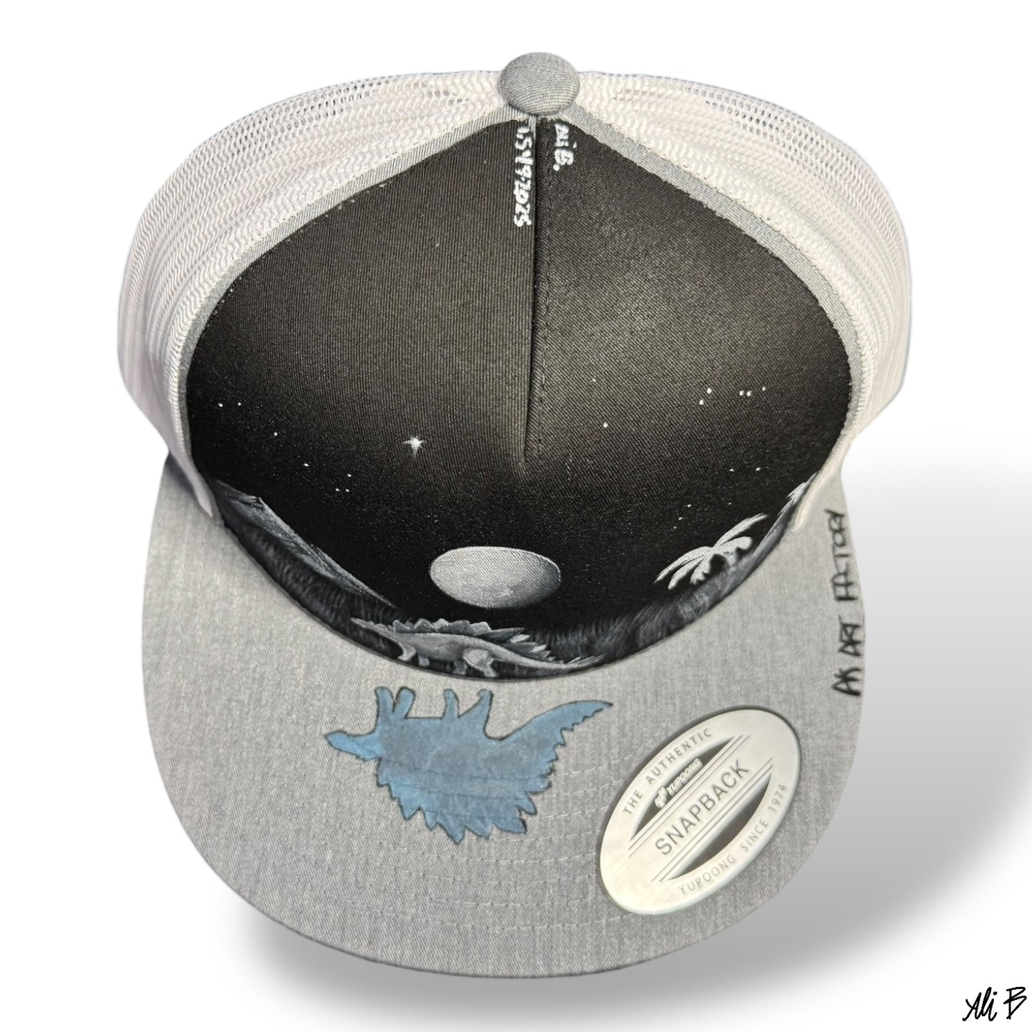 Out for a midnight Steg