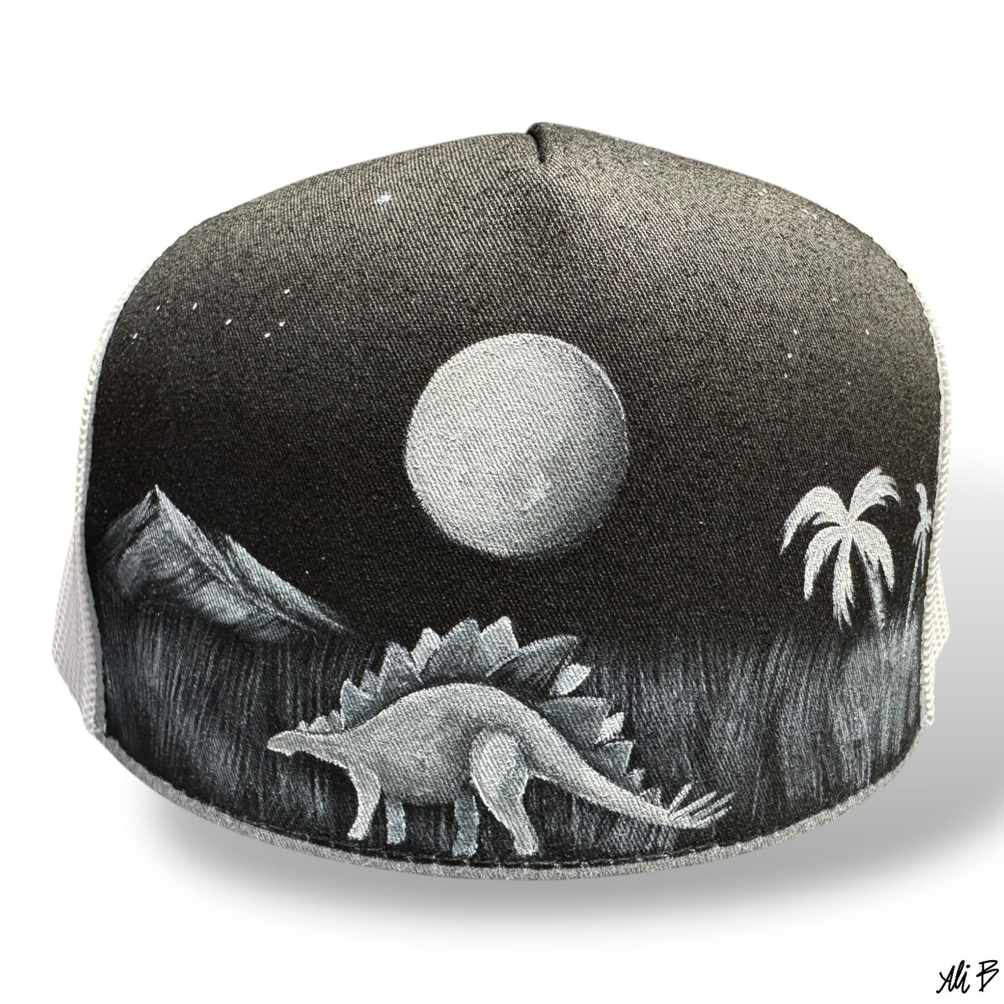 Out for a midnight Steg