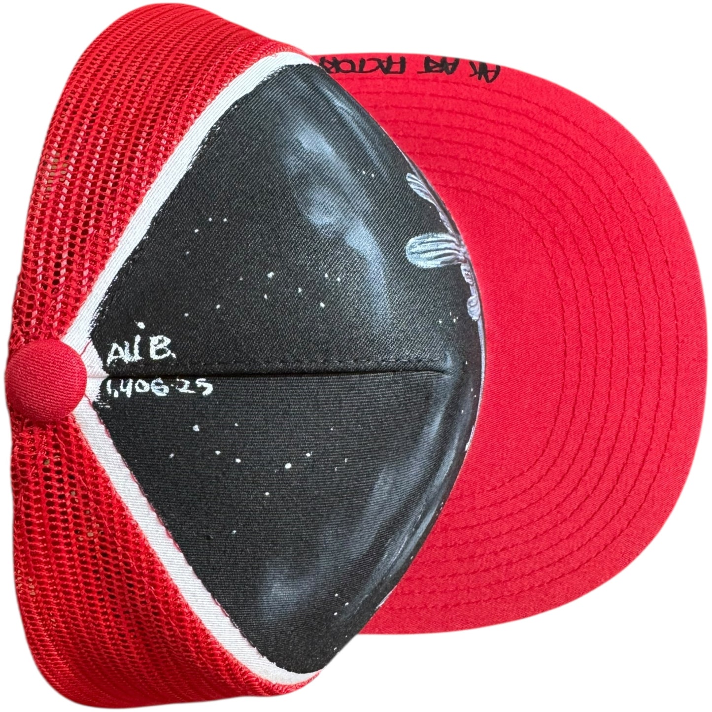 Prickly Side Of Life