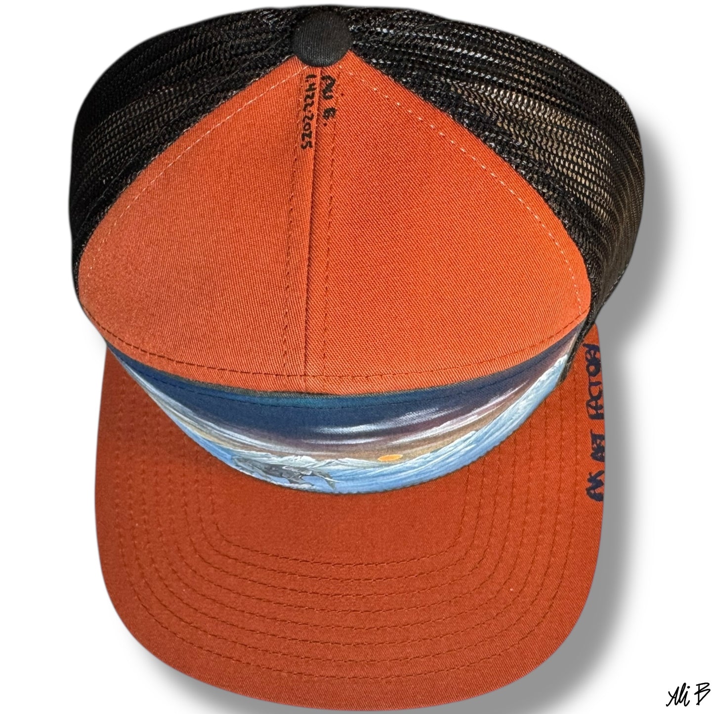 Elephant in the mountains