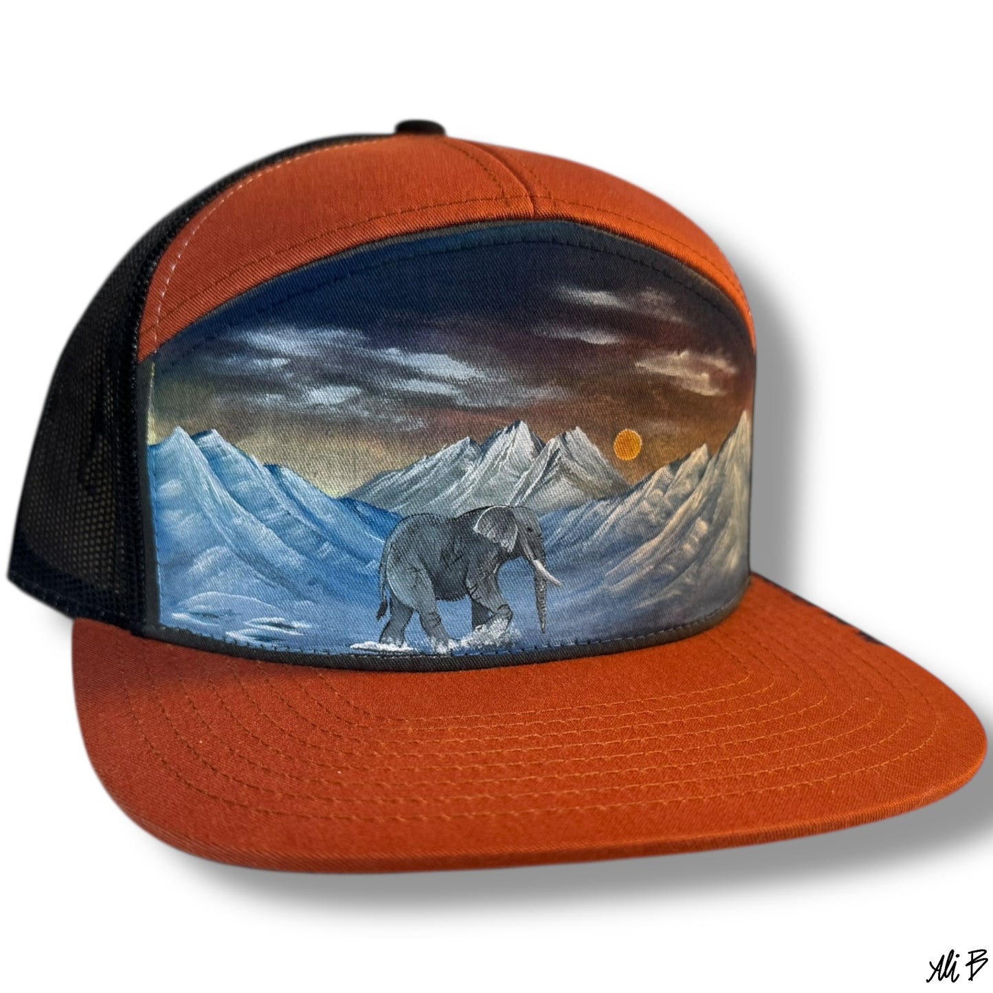 Elephant in the mountains