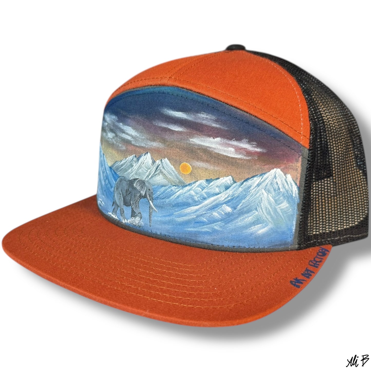 Elephant in the mountains