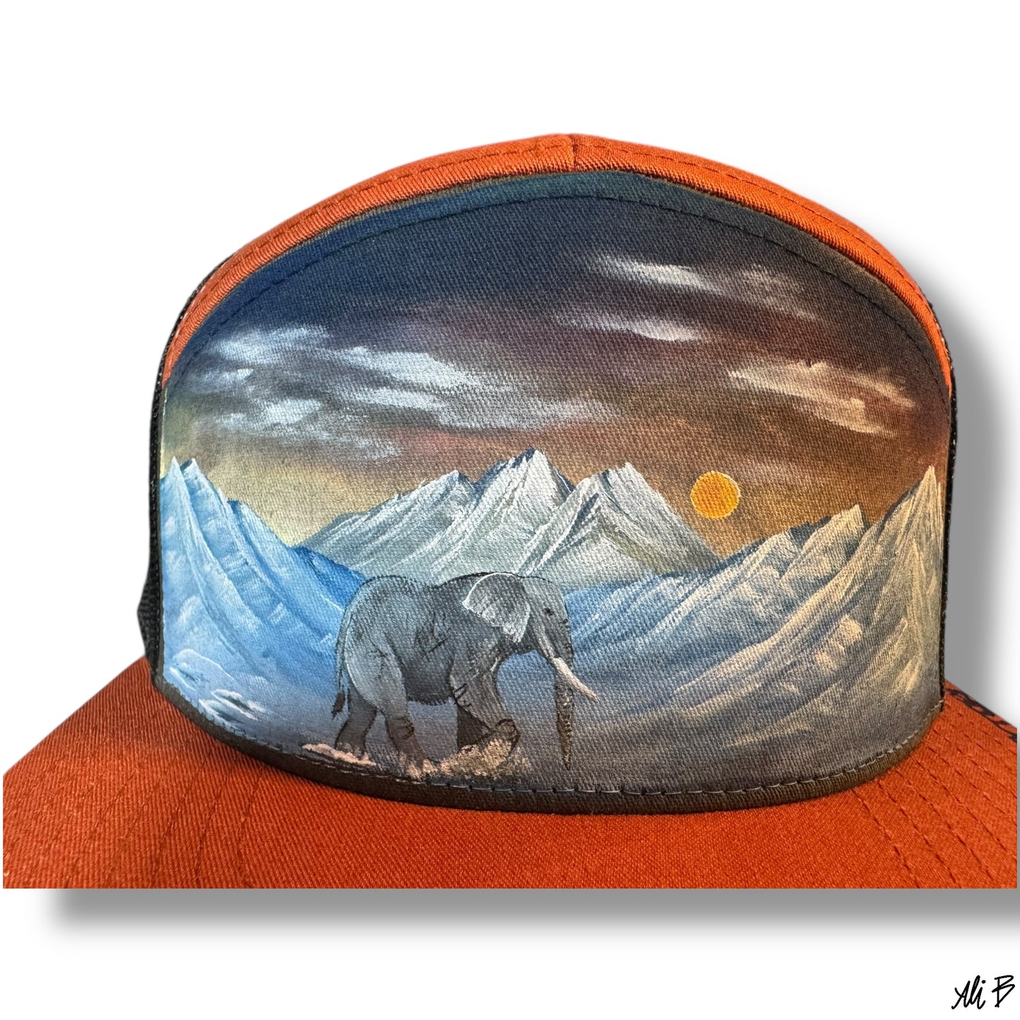 Elephant in the mountains