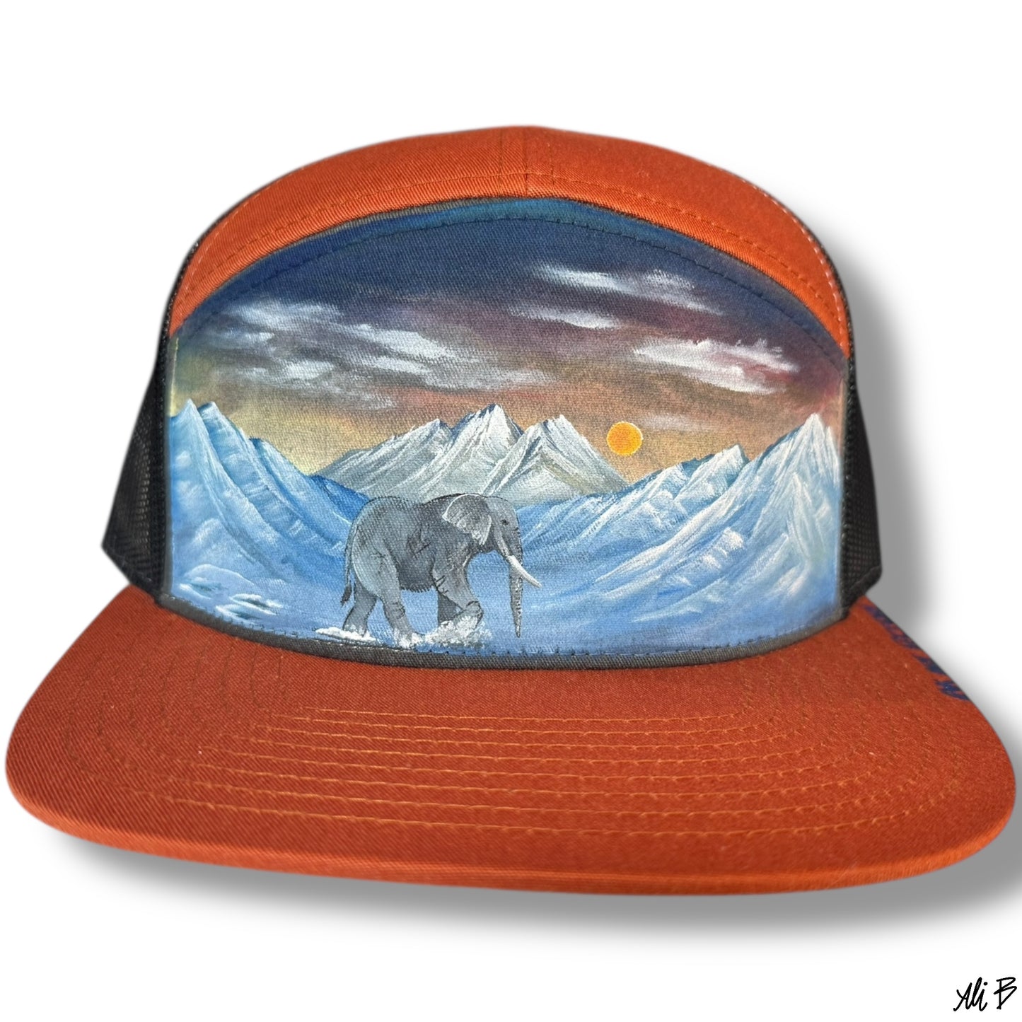 Elephant in the mountains